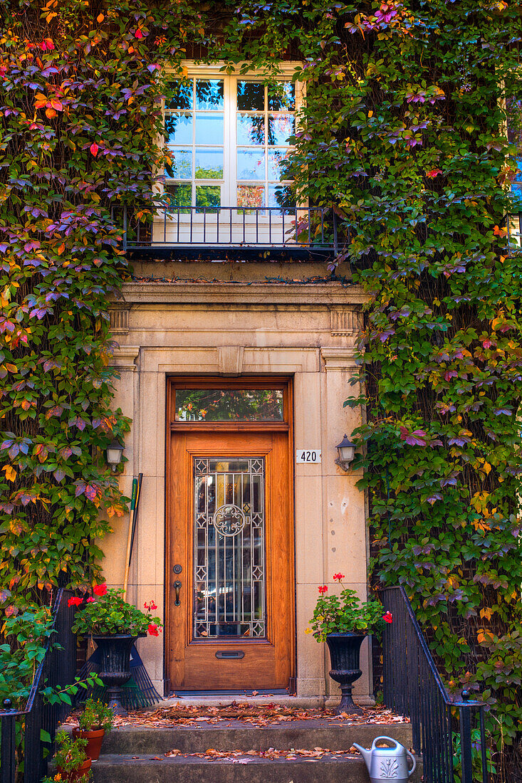 'Windows and doors framed with vines and autumn colours; Montreal, Quebec, Canada'