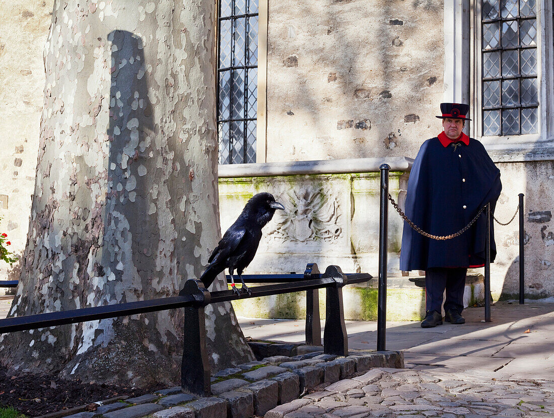 'A Yeoman Warder and a guardian raven keep watch at the Tower of London; London, England'