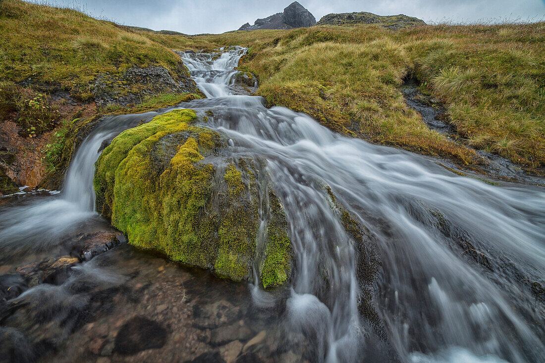 'One of the numerous streams coming from the mountains in the West Fjords region of Iceland; Iceland'