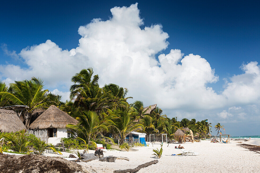 'White sand beach with thatched huts, coconut and palm trees and blue sky with large white cloud; Tulum, Quintana Roo, Mexico'