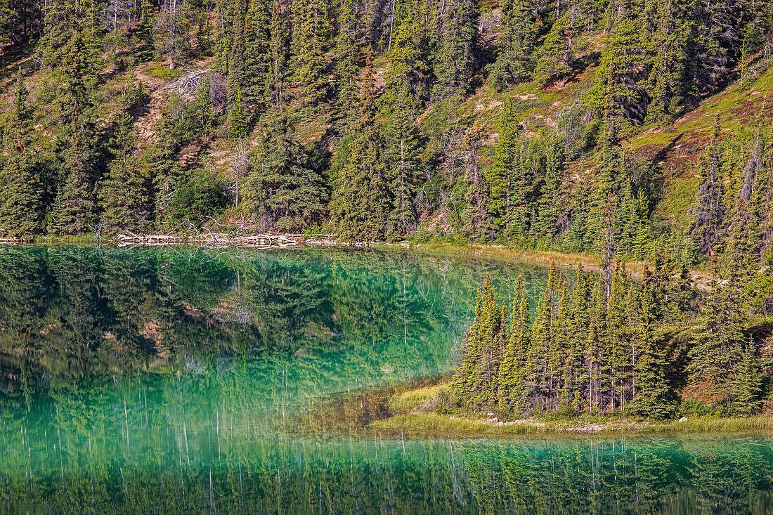'The emerald green waters of Emerald Lake near Carcross; Yukon, Canada'