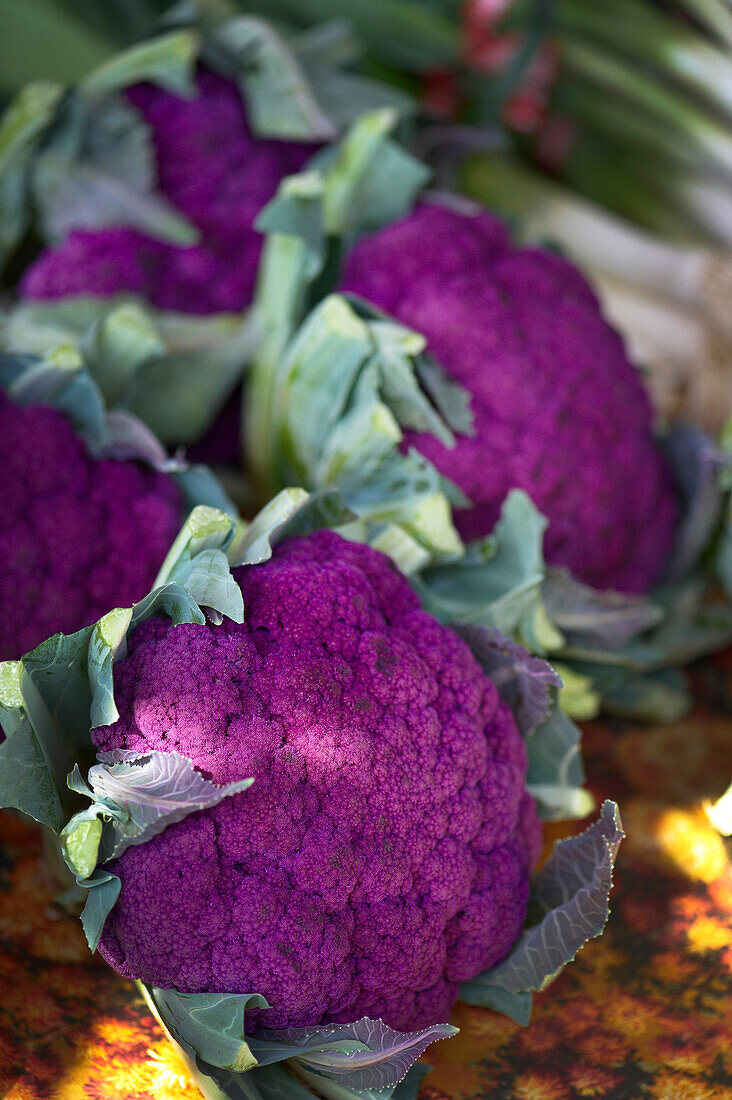 Purple Cauliflower, Riverdale Farmer's Market, Toronto, Ontario