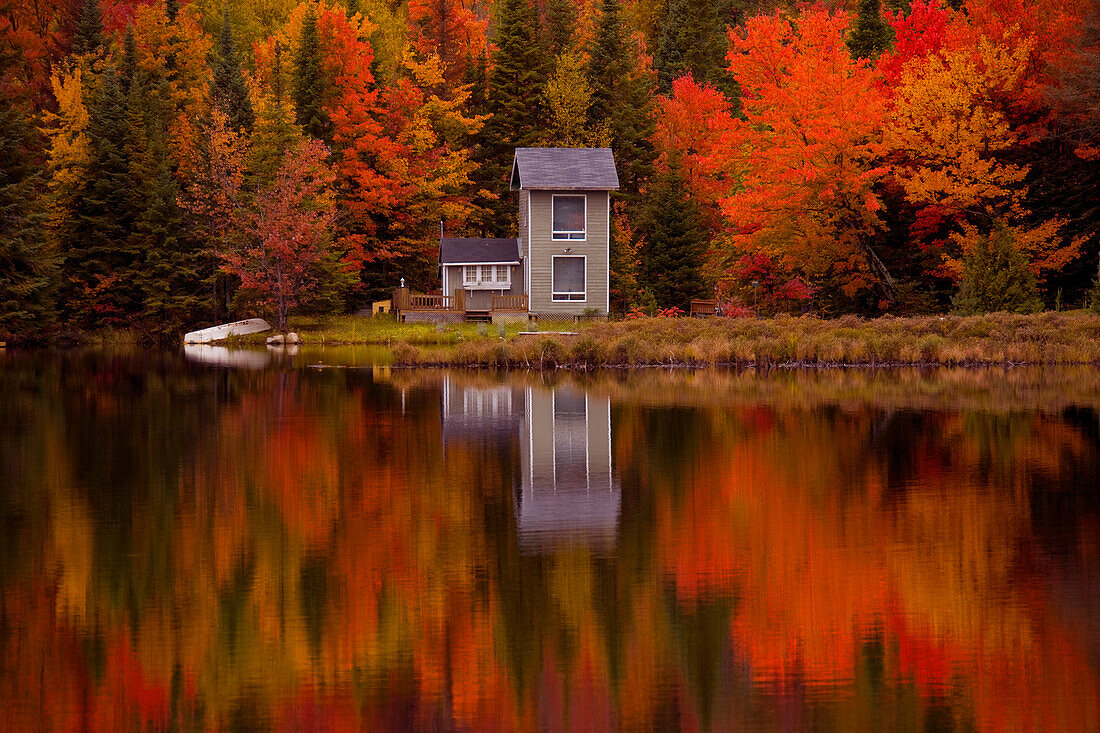 Fall Trees, Four Lakes, Near Saint Jovite, Quebec