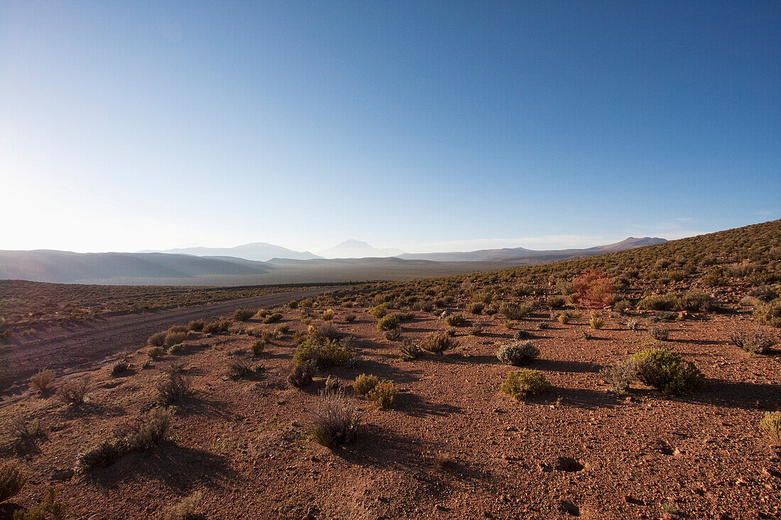 Altiplano Surrounded By Volcanoes In The Andes Cordillera Near Ollague At Dawn, Antofagasta Region, Chile