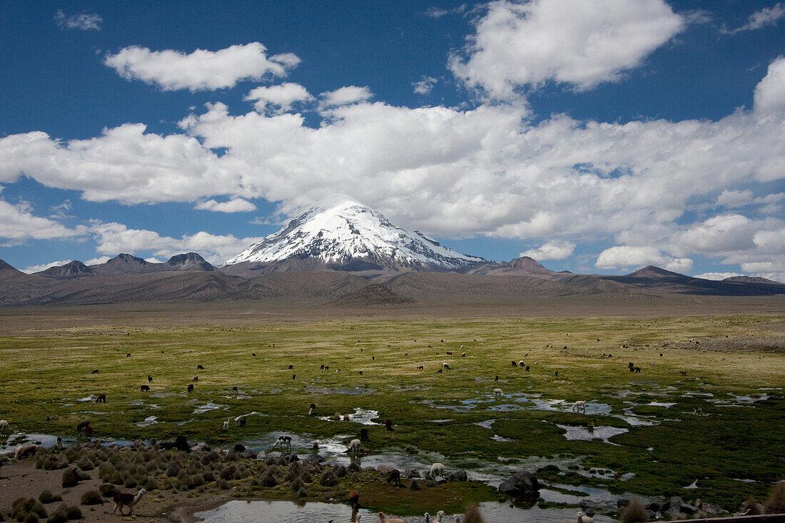 Nevado Sajama, Sajama National Park, Oruro Department, Bolivia