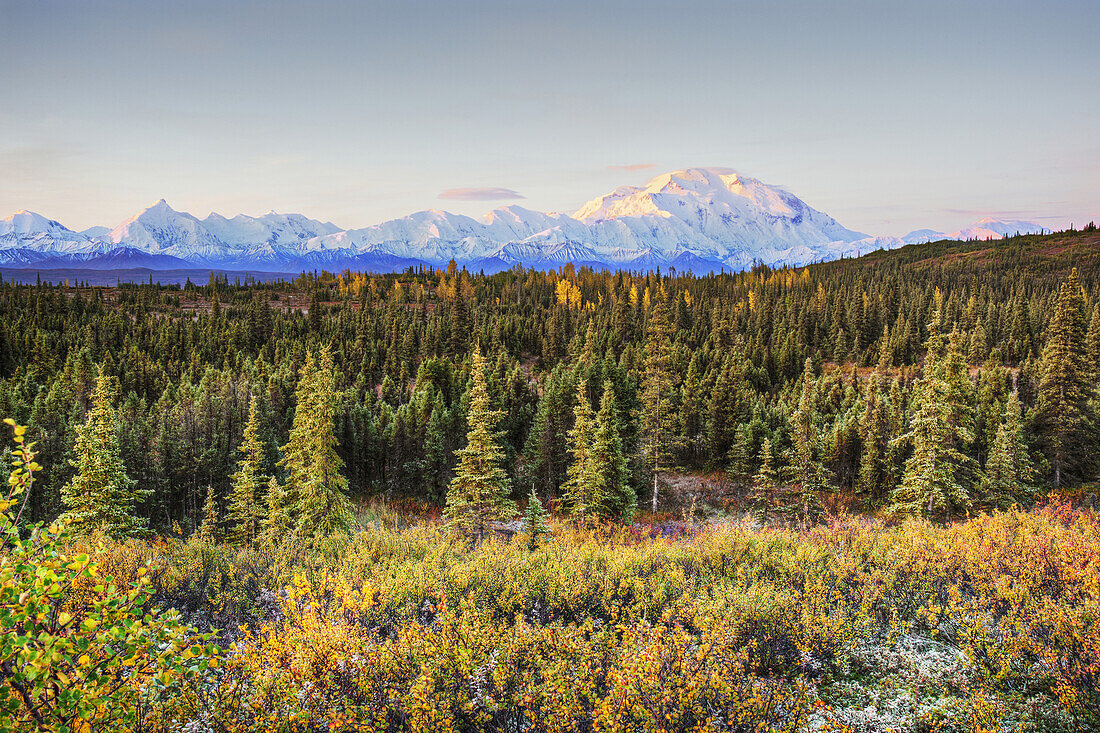 Early morning shot of the north face of Mt. McKinley Denali from Wonder Lake with alpine glow on the upper mountain in Denali National Park, interior Alaska. Fall. HDR