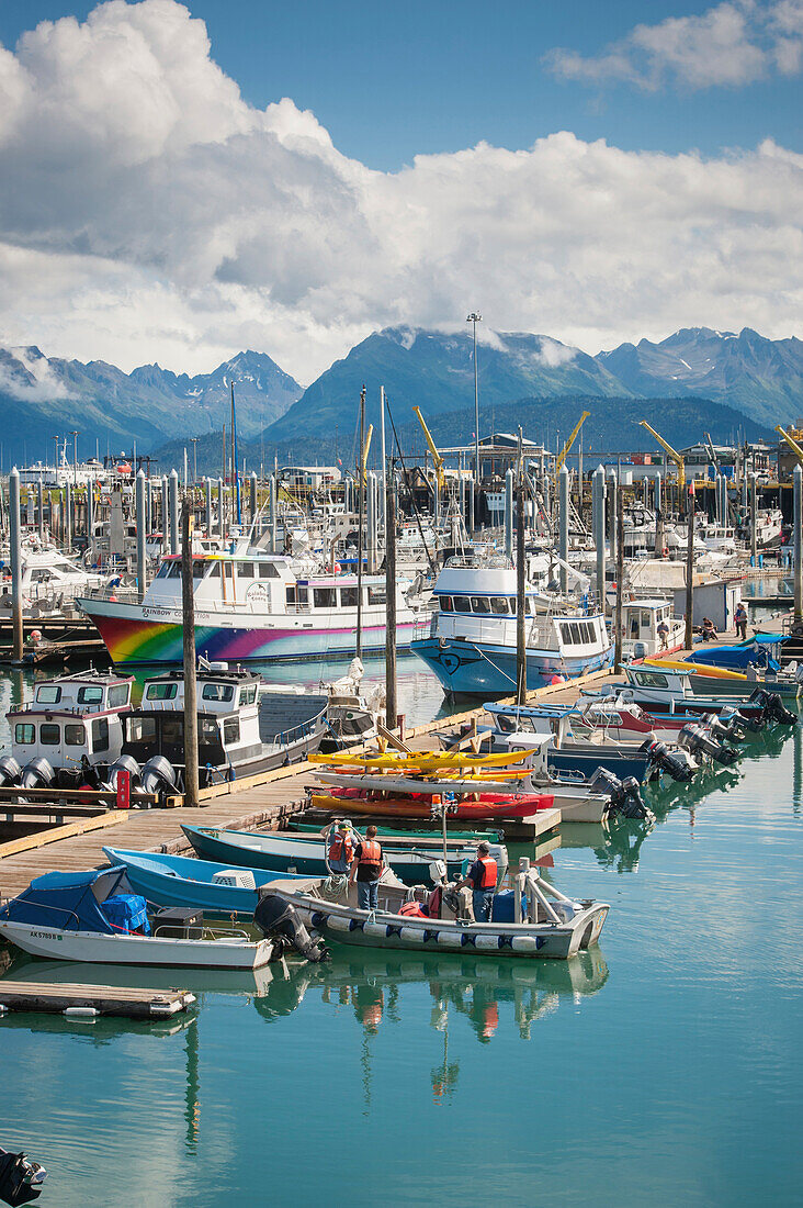 Boats docked in the Homer small boat harbor, Homer Spit, Kenai Peninsula, Southcentral Alaska, Summer