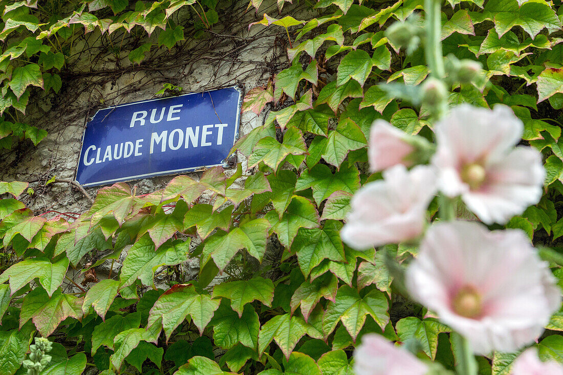 rue claude monet on the main street (virginia creeper), giverny, eure (27), normandy, france