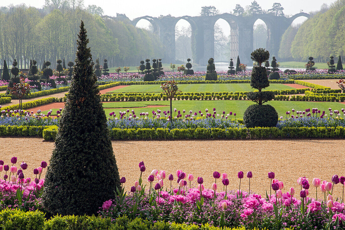 the spring tulips and vauban aqueduct, french-style gardens created in 2013 following the original plans by andre le notre commissioned by louis xiv for francoise d'aubigne, chateau de maintenon, eure-et-loir (28), france