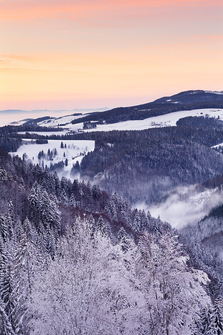 View from Black Forest Highway to Glottertal Tal Valley at sunset, Black Forest, Baden-Wurttemberg, Germany, Europe