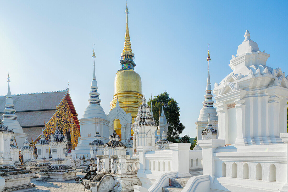Chedis (stupas) at the temple of Wat Suan Dok, Chiang Mai, Thailand, Southeast Asia, Asia