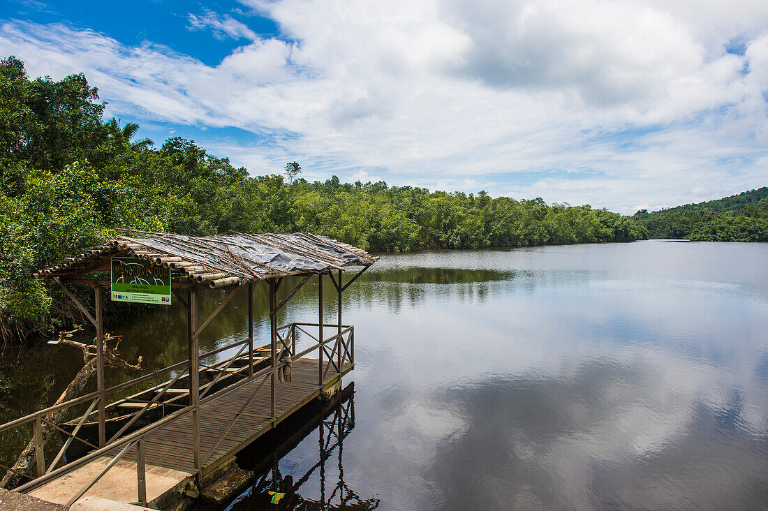 Pier and mangroves on the Malanza River on the south coast of Sao Tome, Sao Tome and Principe, Atlantic Ocean, Africa