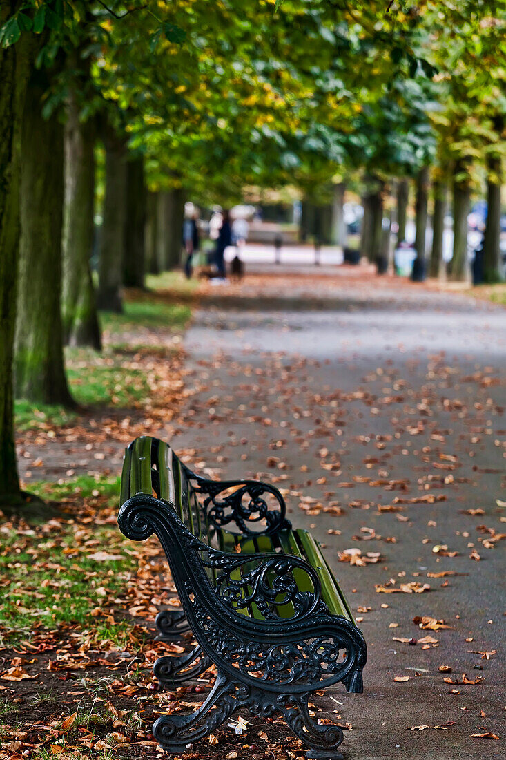 Autumn in Greenwich Park, London, England