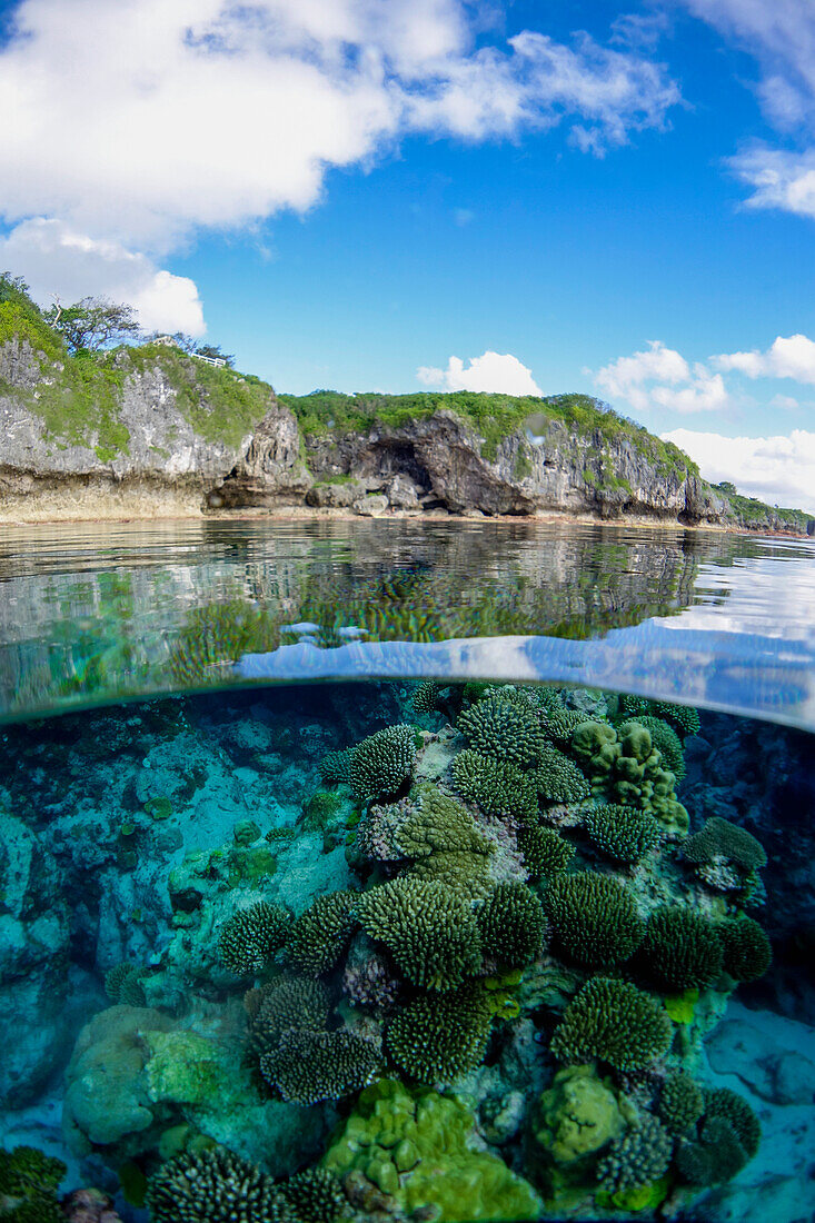 Coral Reef, Niue