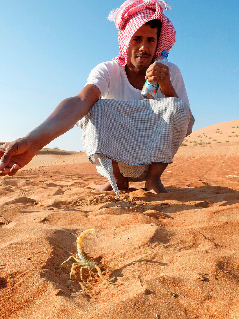 Sultanate of Oman Wahiba desert a beduin in posing with a big yellow scorpion at his feet in the sand