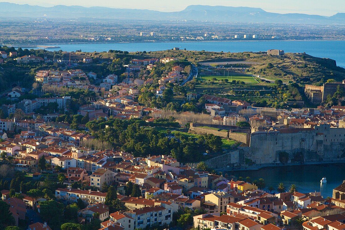 Europe, France, Languedoc Roussillon, Pyrenees Orientales, Collioure