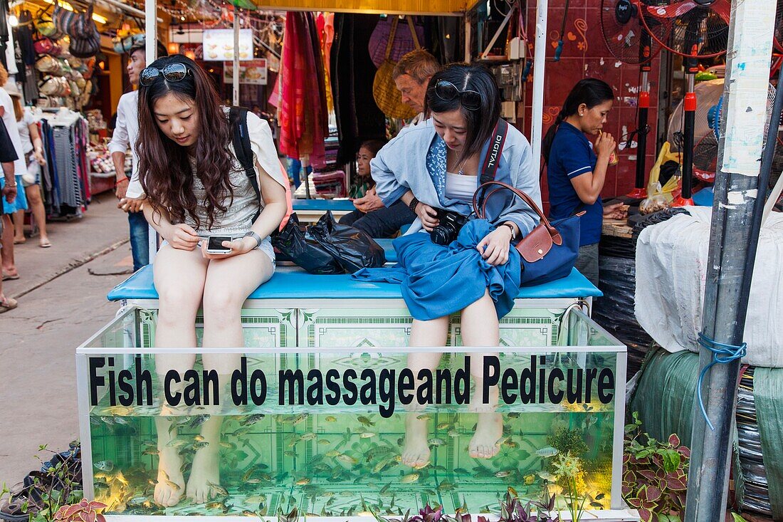 Cambodia,Siem Reap,Asian Girls Having Fish Massage