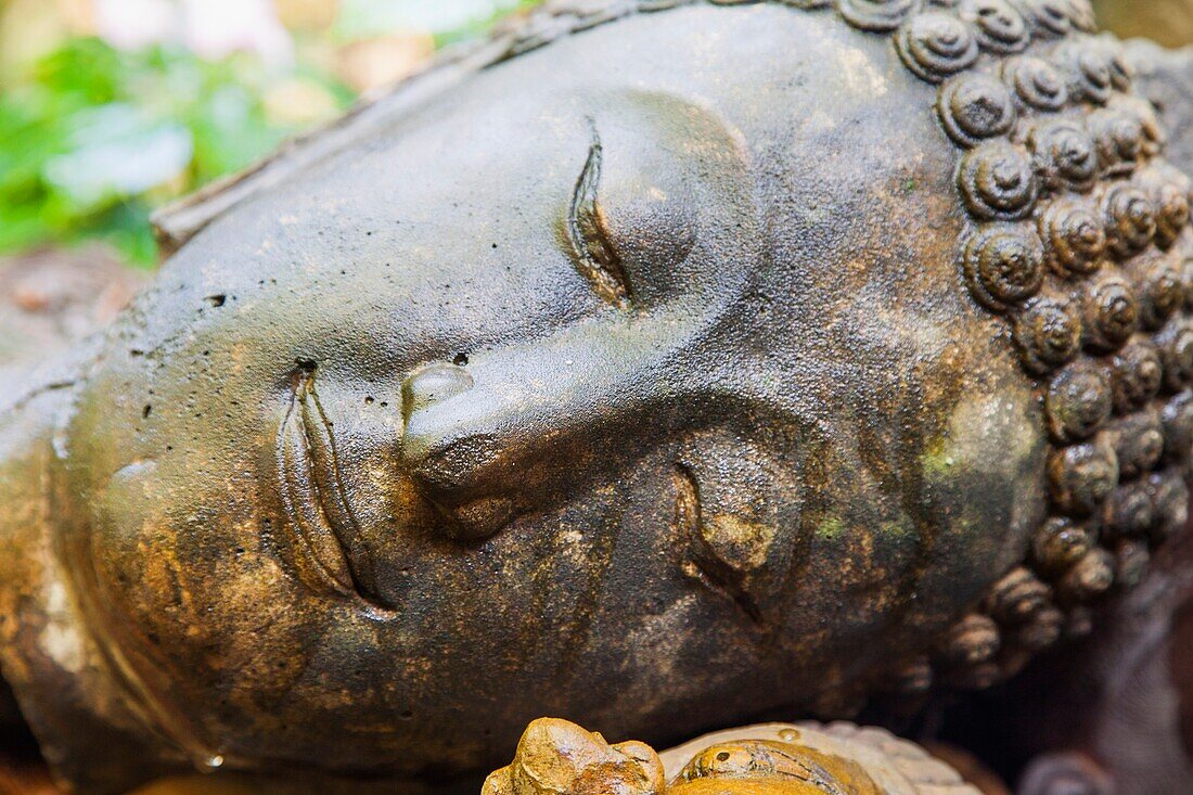 Thailand,Chiang Mai,Baan Phor Liang Meun's Terracotta Arts,Buddha Head