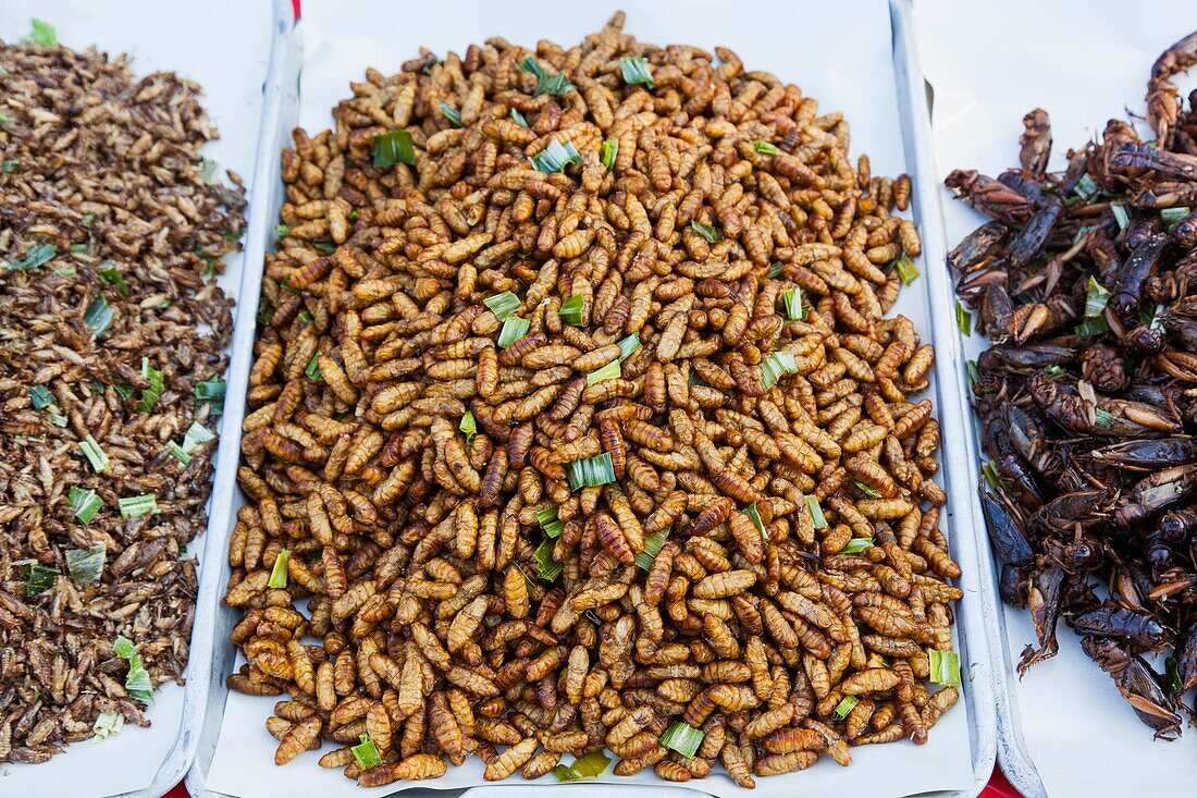 Thailand,Chiang Mai,Warorot Market,Shop Display of Cooked Bugs