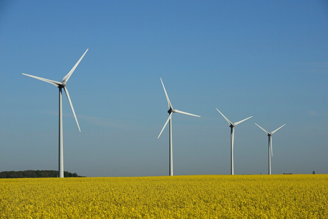 WINDS-POWERED NEAR PUSSAY, BEAUCE, FRANCE