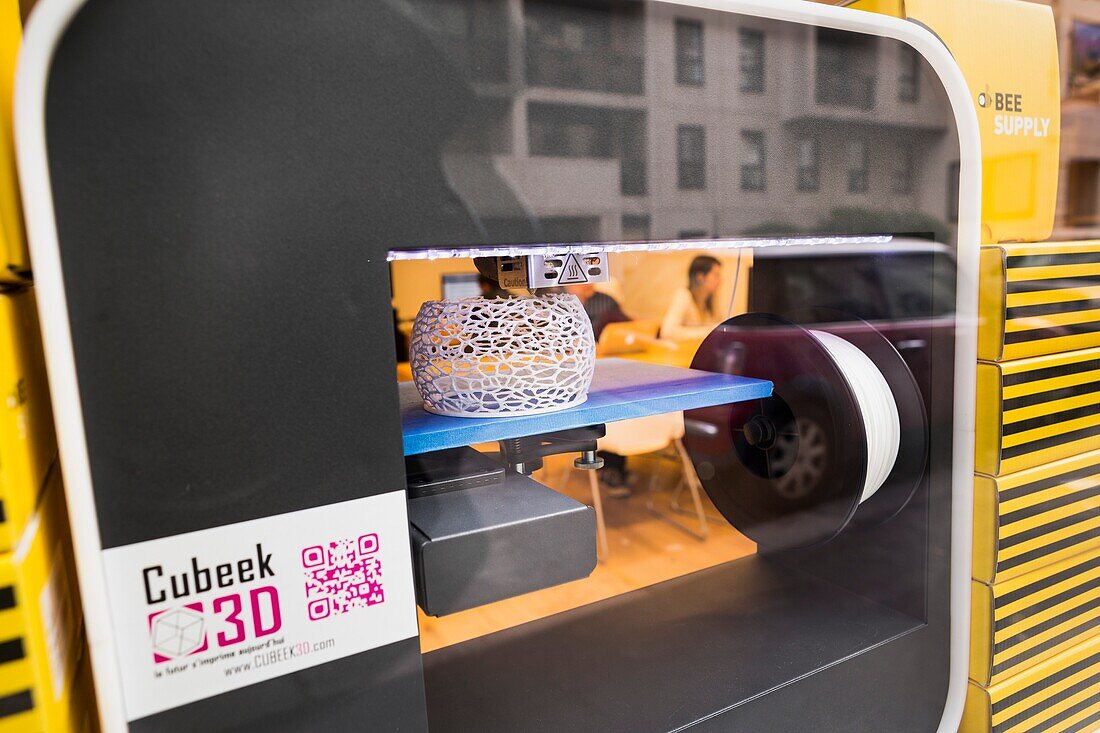 Cubeek3D, 3d printer store located in Paris