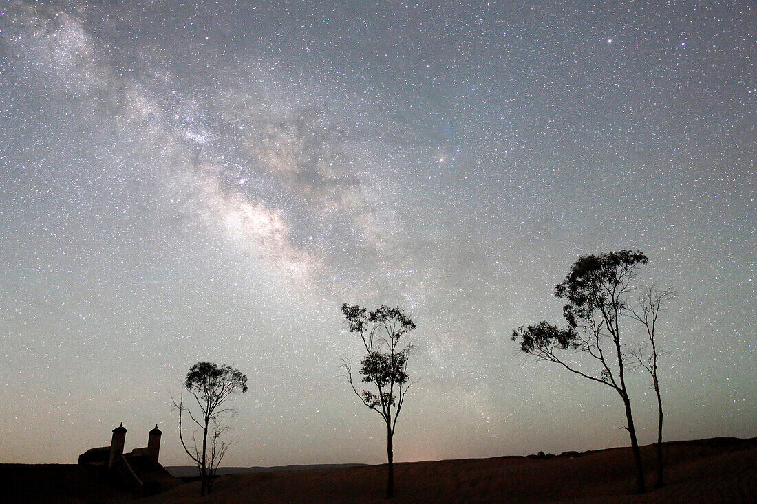 Morocco, Draa Valley, Zagora region, Milky Way and starry sky above trees