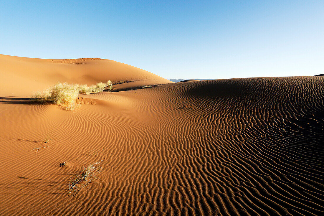 Morocco, Draa Valley, Tinfou, Tinfou dunes, Sunrise over the dunes