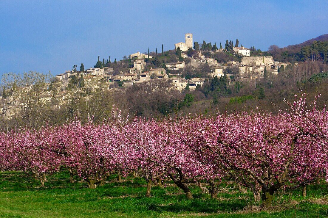 France,Drôme(26),Mirmande town labelised the Most Beautiful Villages of France