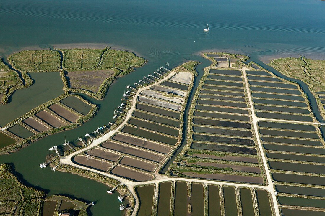 France, South Western France, Charente-Maritime , Chenal d'Orivol, La Seudre, aerial view