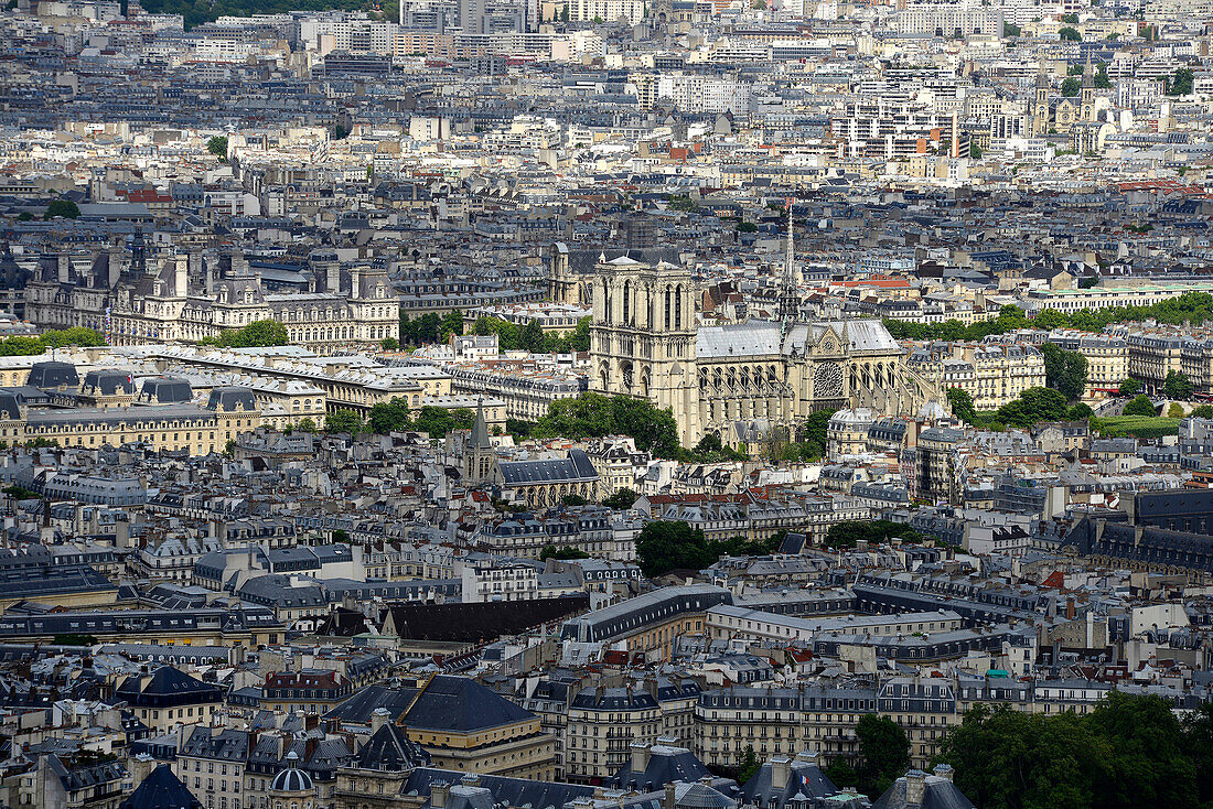 Europe, France, Paris, aerial view of the Notre-Dame Cathedral and the Town Hall
