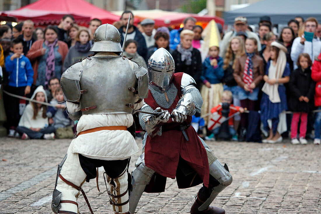France,Seine et Marne, Fontenay Trésigny, Medieval feast, Fight knights