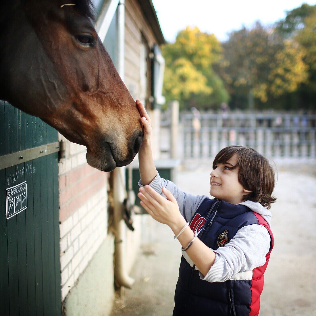 A boy stroking a horse in a stable