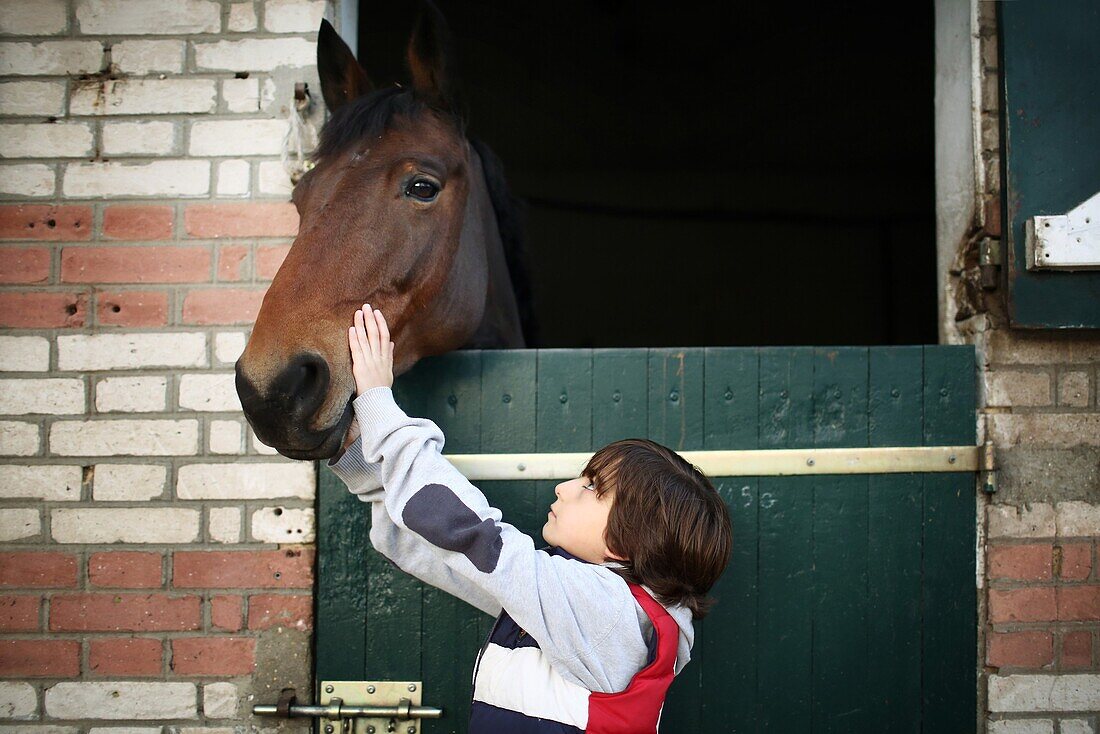 A boy stroking a horse in a stable