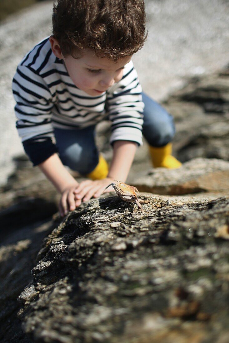 3 years old boy looking at a crab near the beach