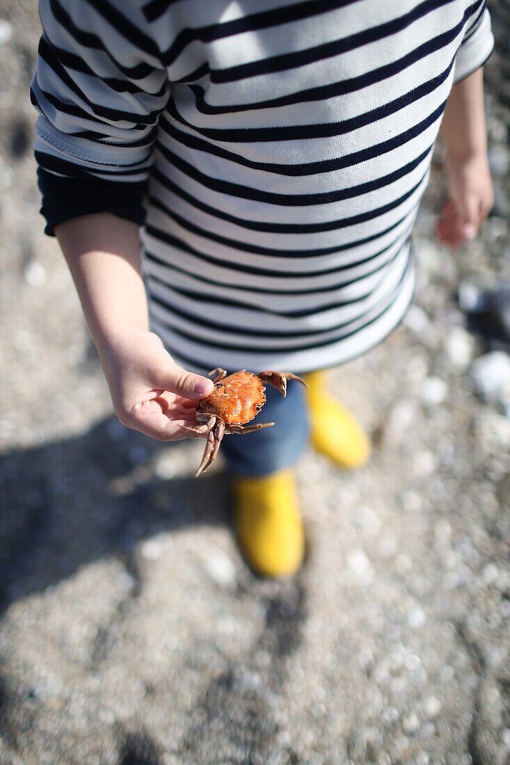 3 years old boy looking at a crab near the beach