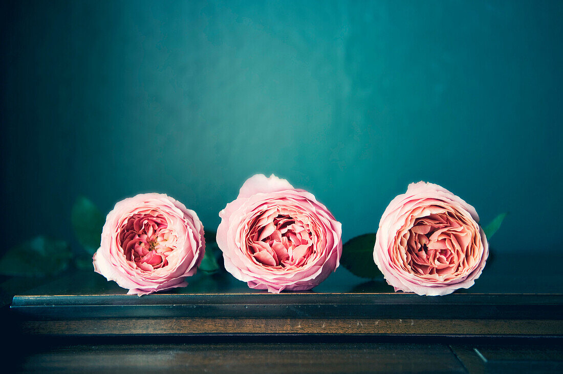 Close up of flowers on table