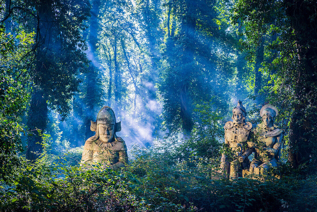 Sunbeams on ancient statues in lush forest