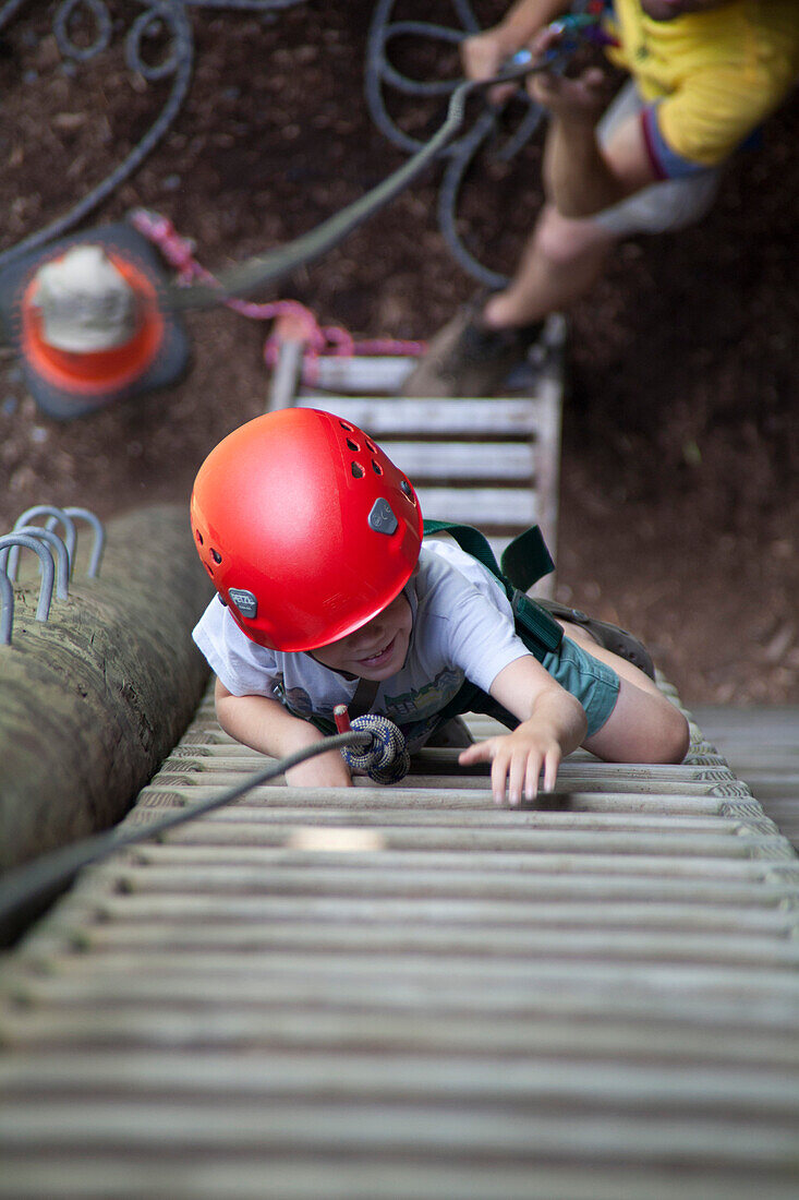 Young Boy Climbing Ladder, High Angle View