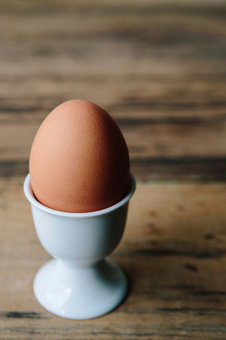Brown Egg in Egg Holder