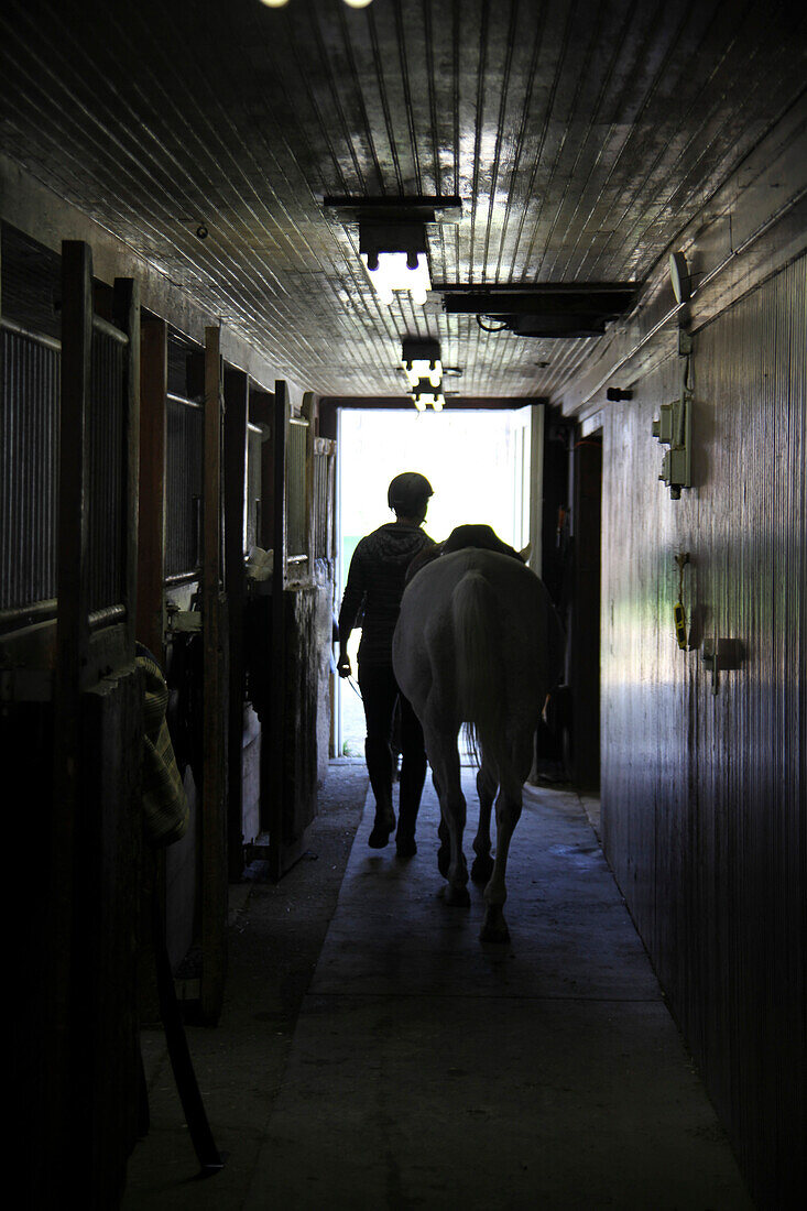 Silhouette of Person and Horse in Stable