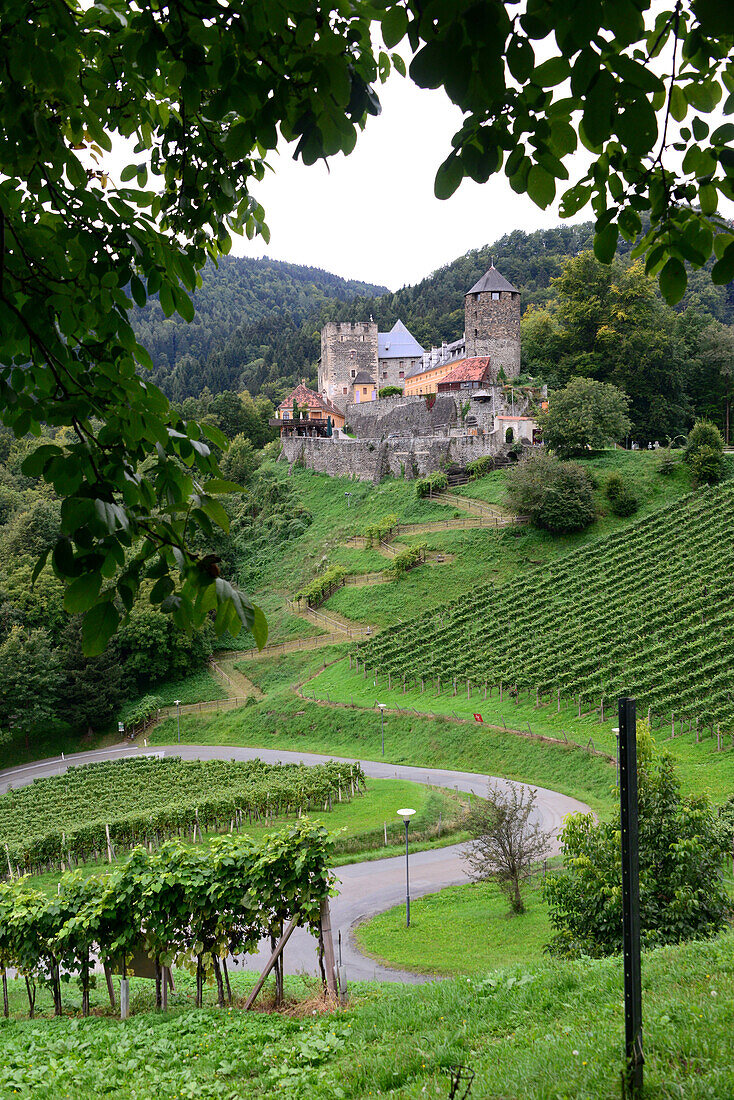 Castle of Deutschlandsberg in the wine area Schilcher near StainzStyria, Austria