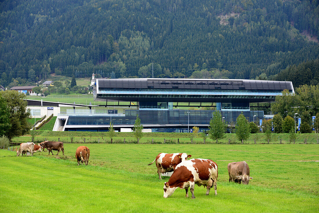 At the Racing concourse Red Bull Ring near Spielberg, Styria, Austria