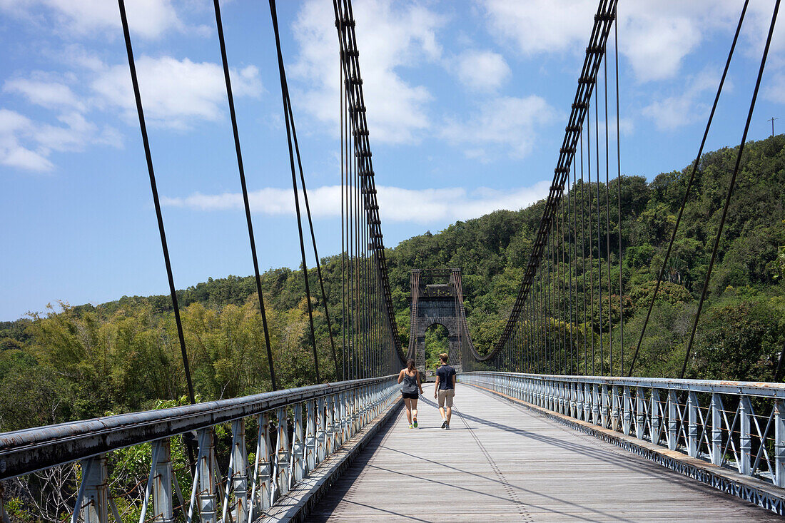 the suspension bridge over the riviere de l'est river, a work by gustave eiffel, reunion island, france, dom-tom