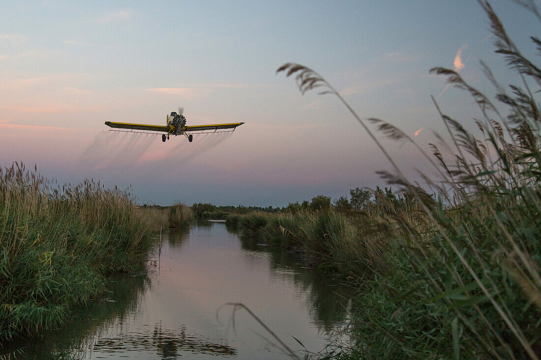 mosquito control in the camargue, larvicide treatment by plane, la marette, aigues-mortes, gard (30), france