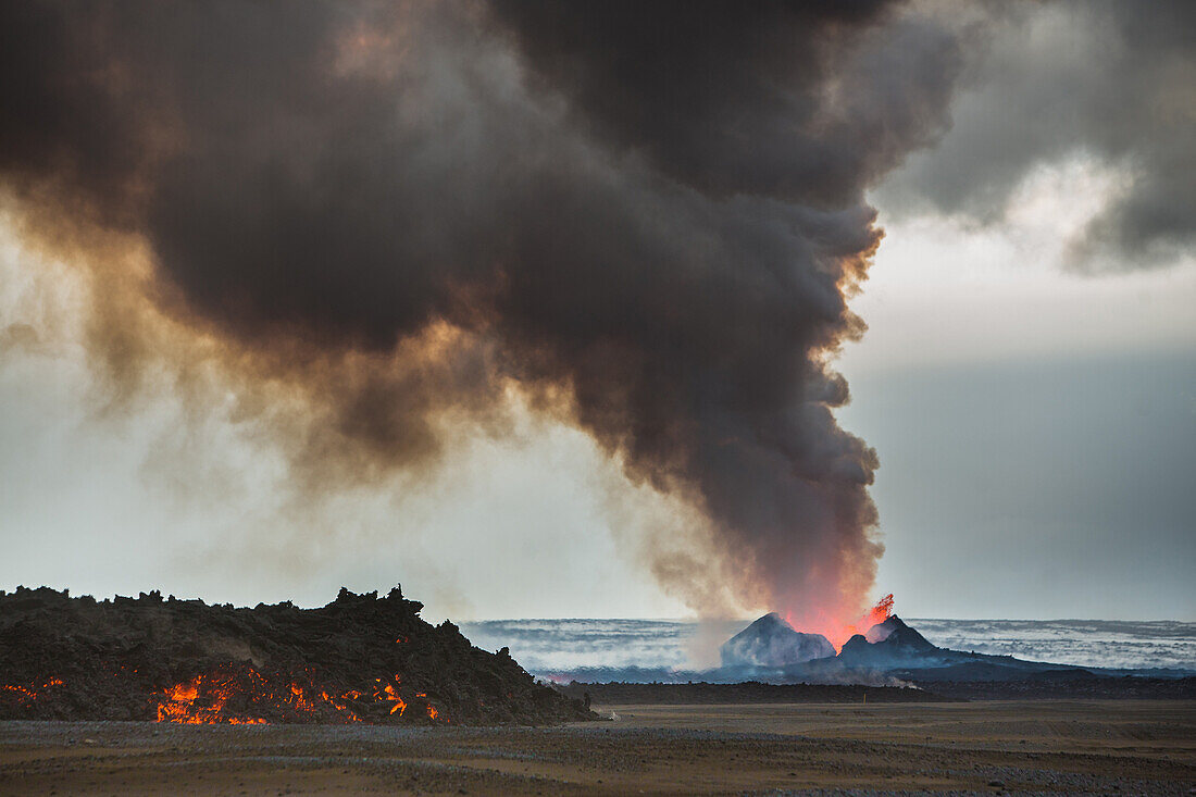 site of the eruption of the volcano holuhraun spewing out lava and toxic gasses (sulphur dioxide) over northern europe, bardarbunga volcanic system, f910, north of the glacier dyngjujokull in the glacier vatnajokull glacier, highlands, northeast iceland, 