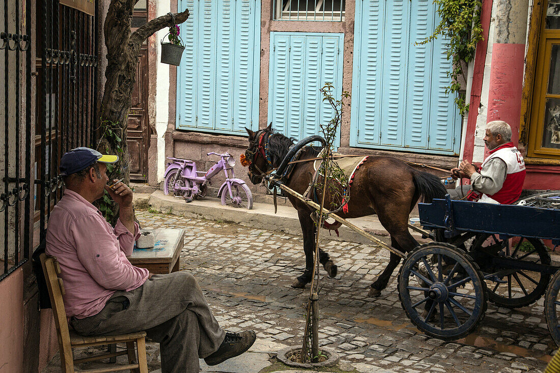 cafe bar palabahce kahvehanesi and horse-drawn cart, 13 nissan street, city of ayvalik on the shores of the aegean sea, the olive riviera, north of izmir, turkey