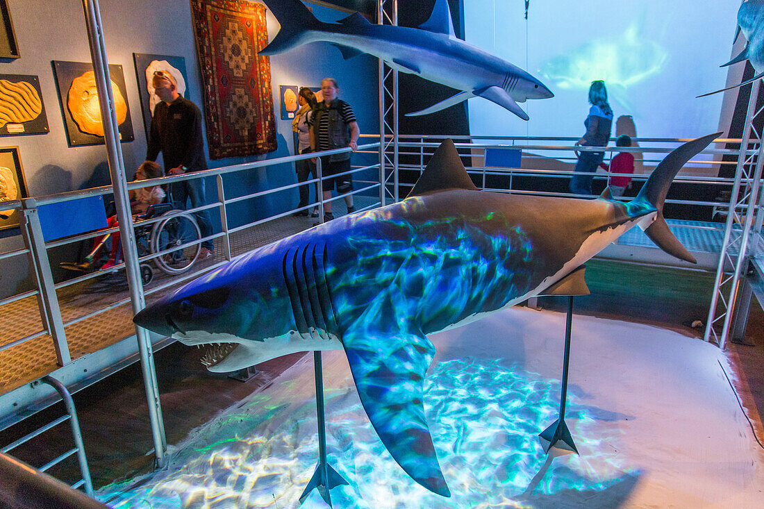 interior shot of the big aquarium of saint malo, models of sharks, (35), ille-et-vilaine, brittany, france