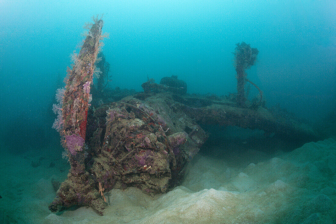 Radial Engine of Dauntless Dive Bomber Wreck, Marovo Lagoon, Solomon Islands