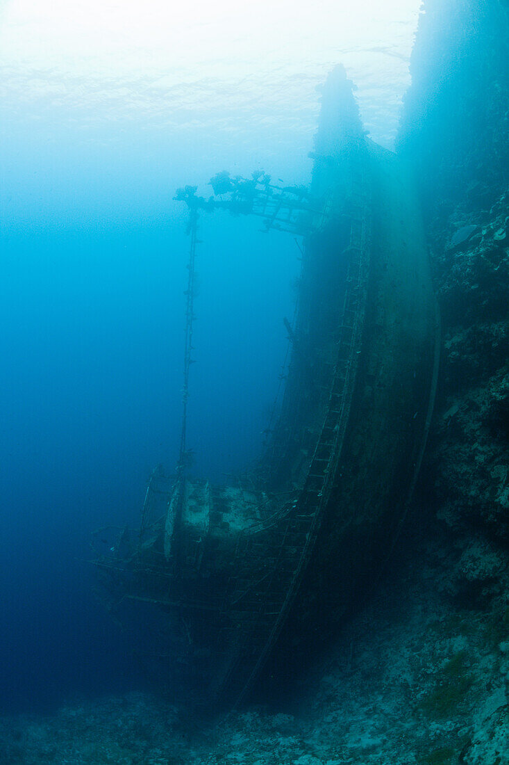 Upright Tuna Boat Wreck, Marovo Lagoon, Solomon Islands