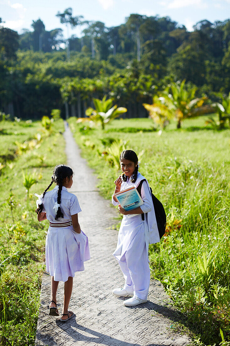 Schoolgirls on the way home, path near Village No. 7, rice fields, Havelock Island, Andaman Islands, Union Territory, India